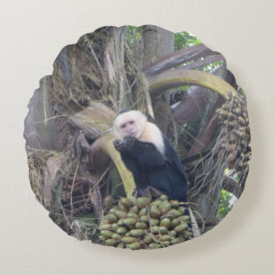 Cute Capuchin Monkey i Träd Round Pillow Rund Kudde