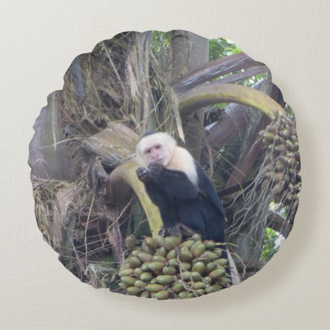 Cute Capuchin Monkey i Träd Round Pillow Rund Kudde (Framsidan)
