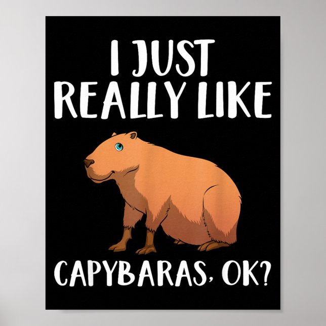 Cute Capybara Art For Men Women Kids Animal Rodent Poster (Framsidan)