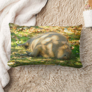 Cute Capybara Dreams i Sommaren Sol Lumbarkudde