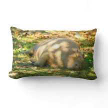 Cute Capybara Dreams i Sommaren Sol