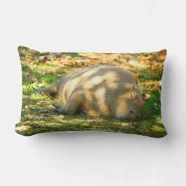 Cute Capybara Dreams i Sommaren Sol Lumbarkudde