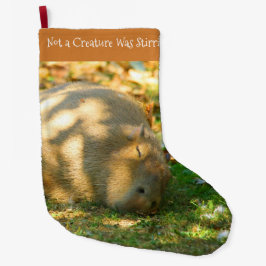 Cute Capybara Dreams i Sommaren Sol Stor Julstrumpa