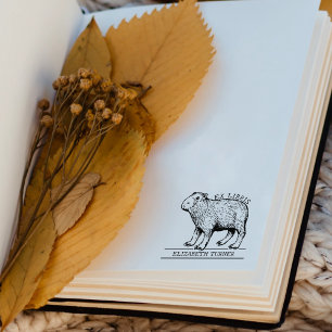 Cute Capybara Ex Libris Bok Stämpel
