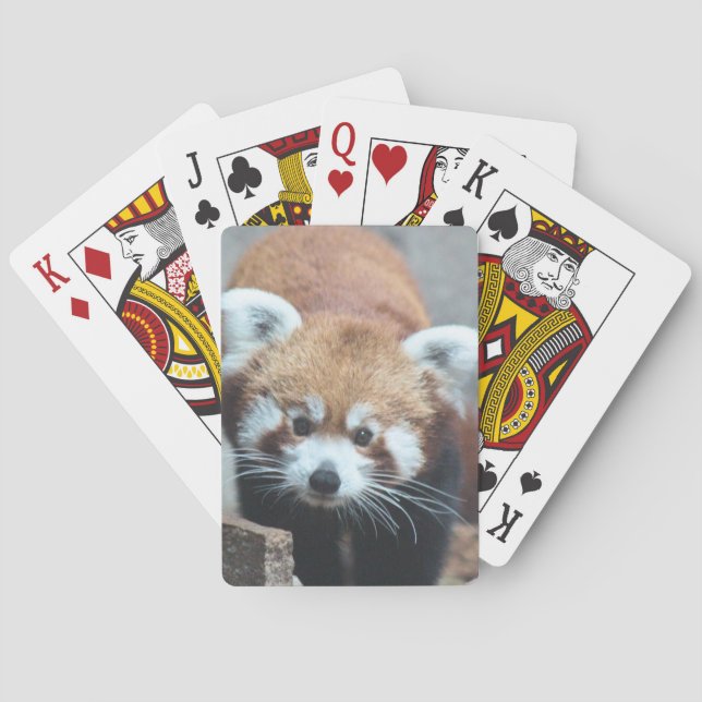 Cute Casinokort (Baksidan)