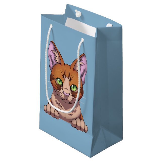 Cute Cat (Framsidan Vinklad)