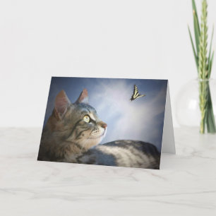 Cute Cat and Butterfly Grattis på födelsedagen Car Kort