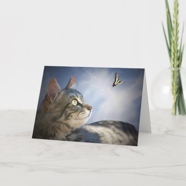 Cute Cat and Butterfly Grattis på födelsedagen Car Kort (Framsida)
