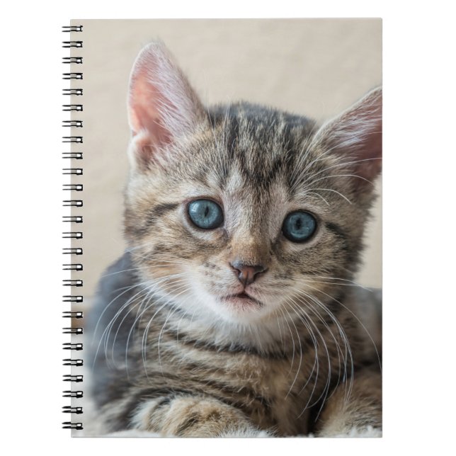 Cute Cat Ansikte Anteckningsbok (Framsidan)