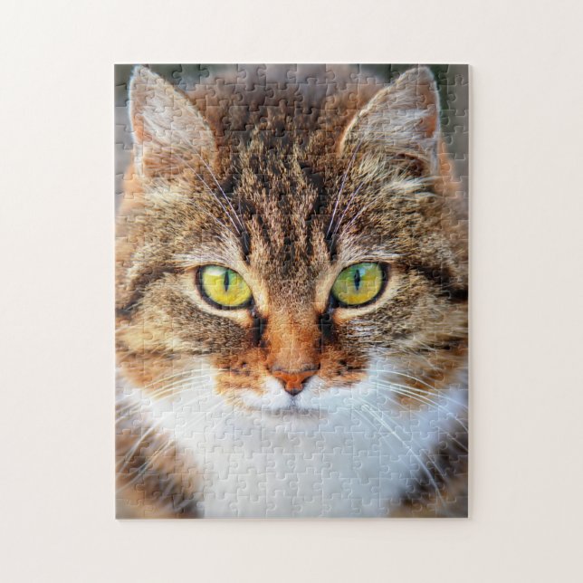 Cute cat ansikte pussel (Vertikal)