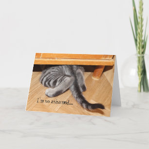 Cute Cat Apology. Synligt att så Ashamed Kort