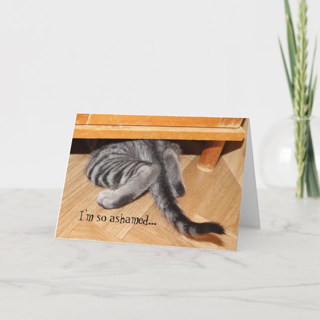Cute Cat Apology. Synligt att så Ashamed Kort (Framsida)