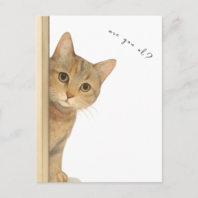 Cute Cat Are You Ok? Card. Vykort (Framsida)