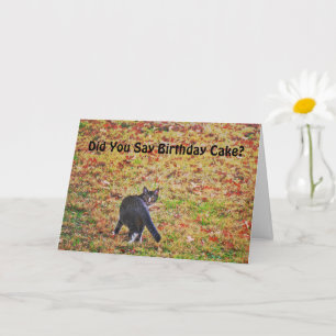 Cute Cat Art Pun Funny Birthday Card Kort