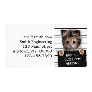 Cute cat bad boy fraktsedel