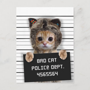 Cute cat bad boy vykort