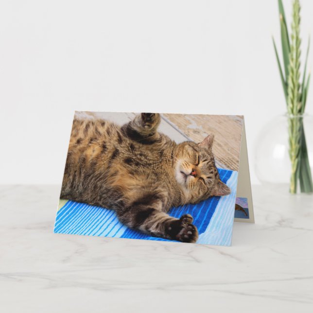 Cute Cat Big Hugs Birthday Kort (Framsida)