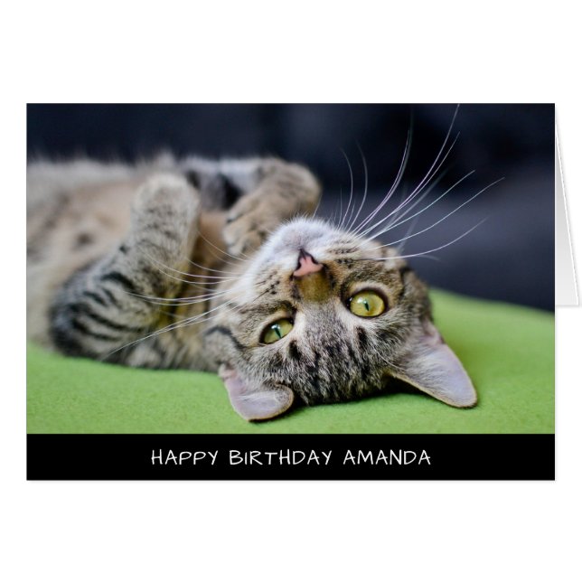 Cute Cat Birday Card Hälsningskort (Framsidan Horizontal)