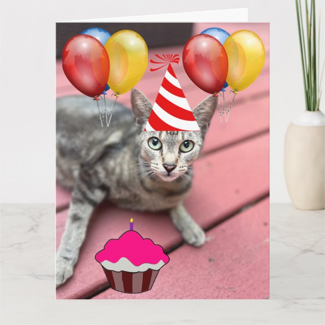CUTE CAT BIRTHDAY BIG Greeting Card Kort (Framsida)
