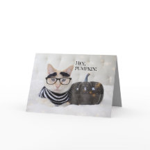 Cute Cat Bushy Eyebrows och Glass Halloween