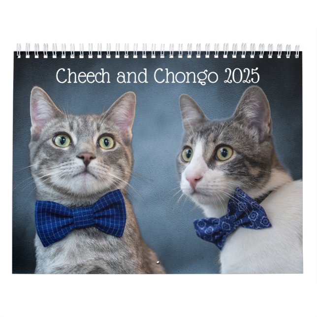 Cute Cat Calendar Kalender (Omslag)