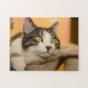 Cute Cat Calico Pussel