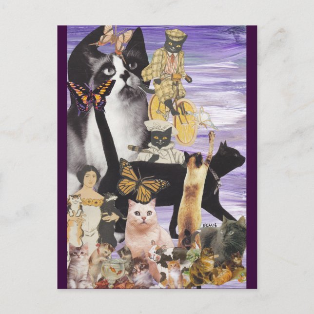 Cute Cat Collage 4 Vykort (Framsida)