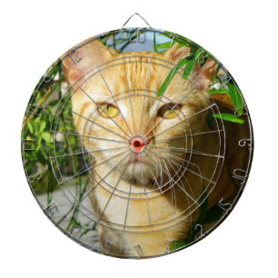 Cute Cat Dartboard! Darttavla