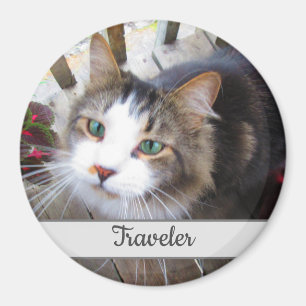 Cute Cat-Djurälskare Skapar din egen Anpassningsb Magnet