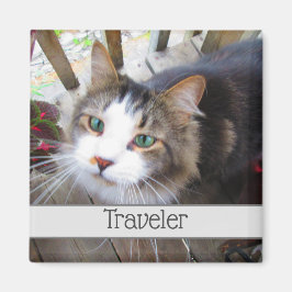 Cute Cat-Djurälskare Skapar din egen Anpassningsba Magnet