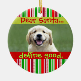 Cute Cat eller Hund Pet-julfoto Ornament