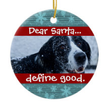 Cute Cat eller Hund Pet-julfoto Ornament