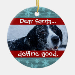 Cute Cat eller Hund Pet-julfoto Ornament