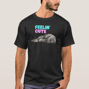 Cute Cat Feelin Cute Rosa Blue T Shirt