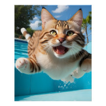 Cute Cat Flies Swimming Diving i Bassäng Funny
