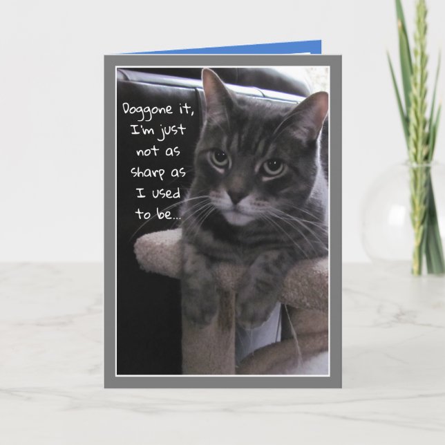 Cute Cat Funny Belet Birthday Card Kort (Framsida)