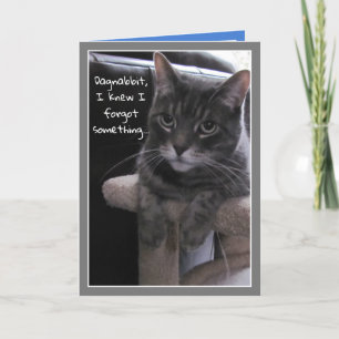 Cute Cat Funny Belet Birthday Card Kort