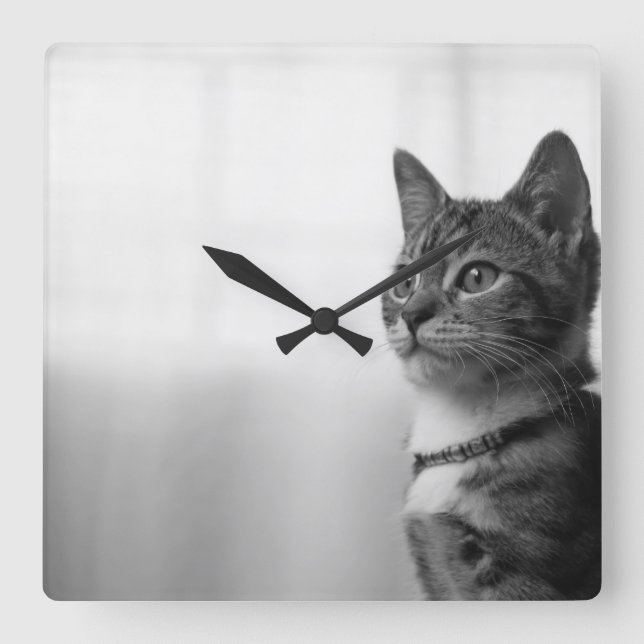 Cute Cat Fyrkantig Klocka (Framsida)