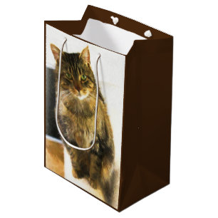 Cute Cat Gift-behållare