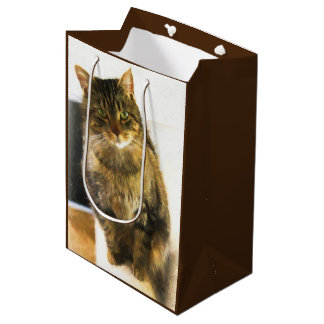 Cute Cat Gift-behållare