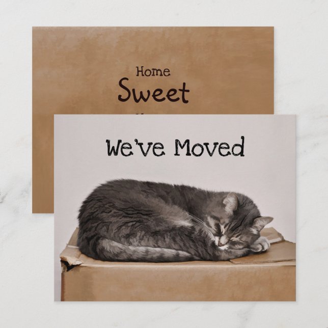 Cute Cat Grått som sover på boxens Flytta Kort (Fram/baksida)