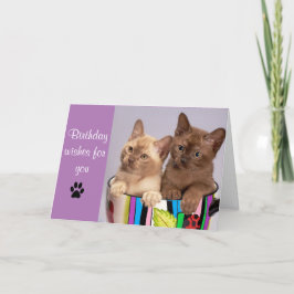 Cute Cat Grattis på födelsedagen-hälsningskort Kort