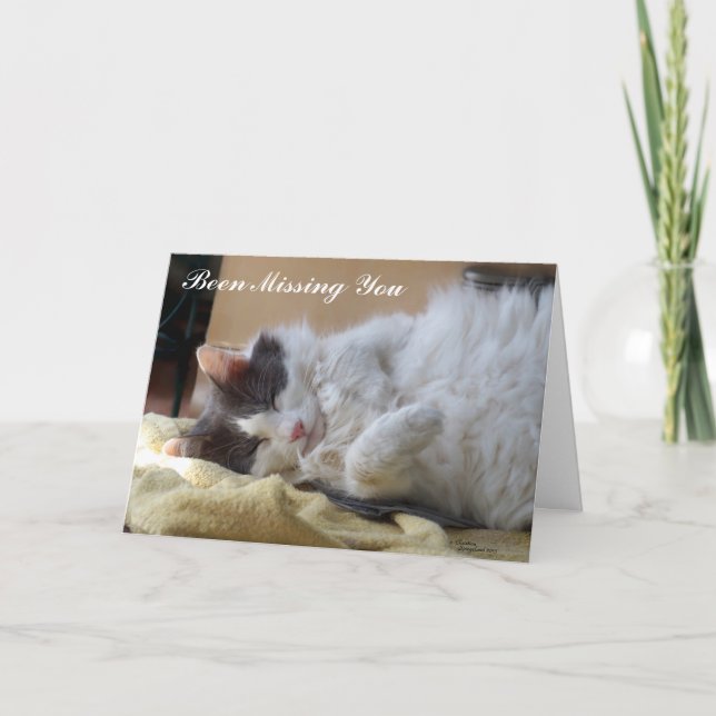 Cute Cat har saknat ett hälsningskort Kort (Framsida)