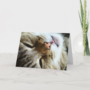 Cute Cat Hi Hej Hur mår du Roligt Hälsning? Kort
