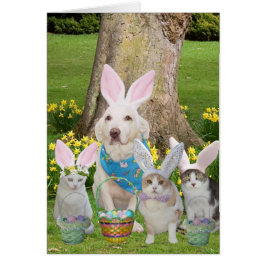 Cute Cat & Hund Bunnies Hälsningskort