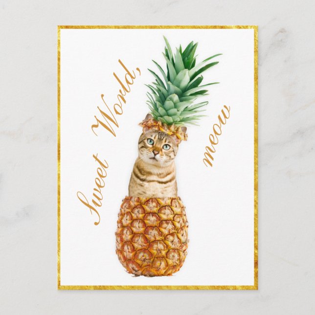 Cute Cat in a pineapple - Funny Meow Kattunge Vykort (Framsida)