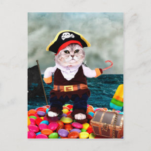 Cute cat in a pirat costume vykort