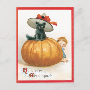 Cute Cat in Hat Vintage Postcard Vykort