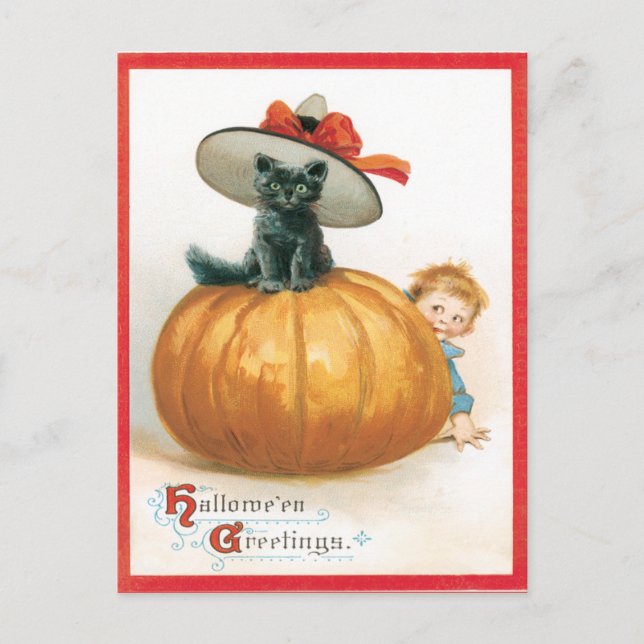 Cute Cat in Hat Vintage Postcard Vykort (Framsida)