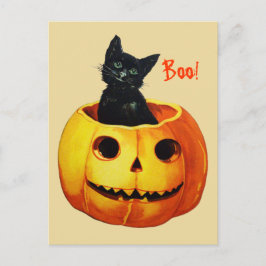 Cute Cat in Pumpkin Vintage Halloween Postcard Vykort